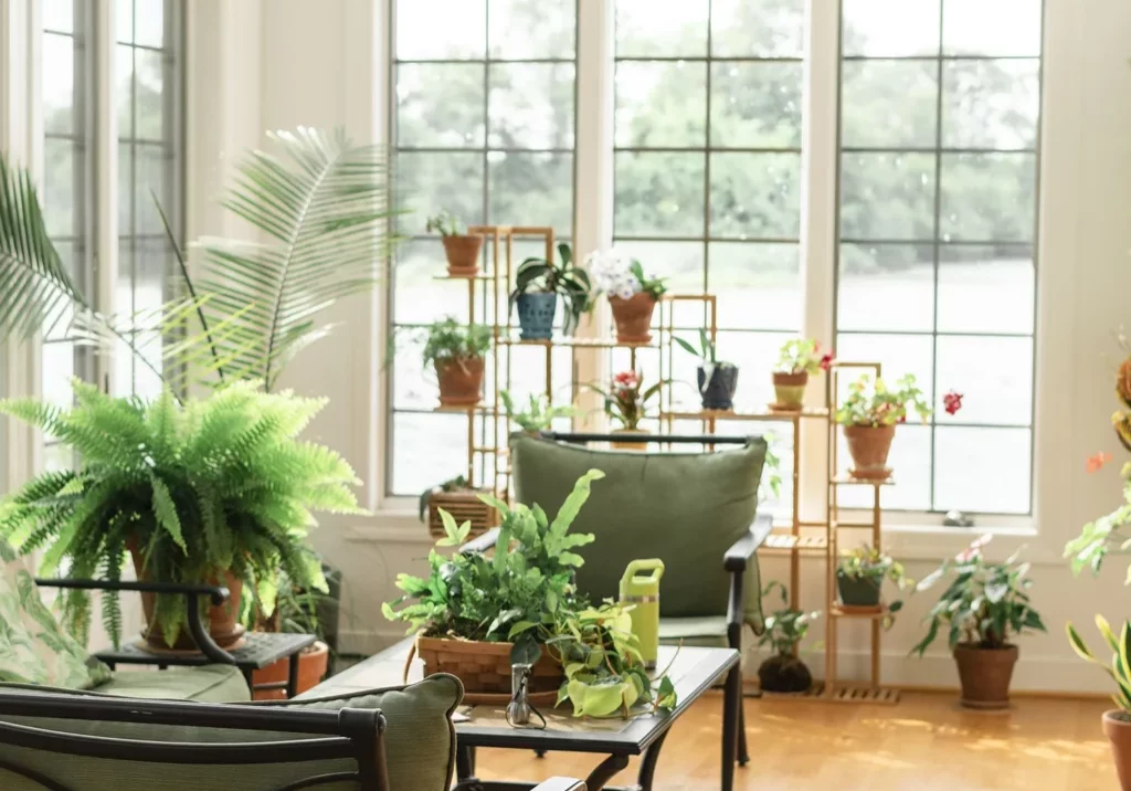 Bright Griggsville, IL sunroom with large grid-style windows and lush indoor plants—showcasing sunroom design and window options from Doors-N-More.